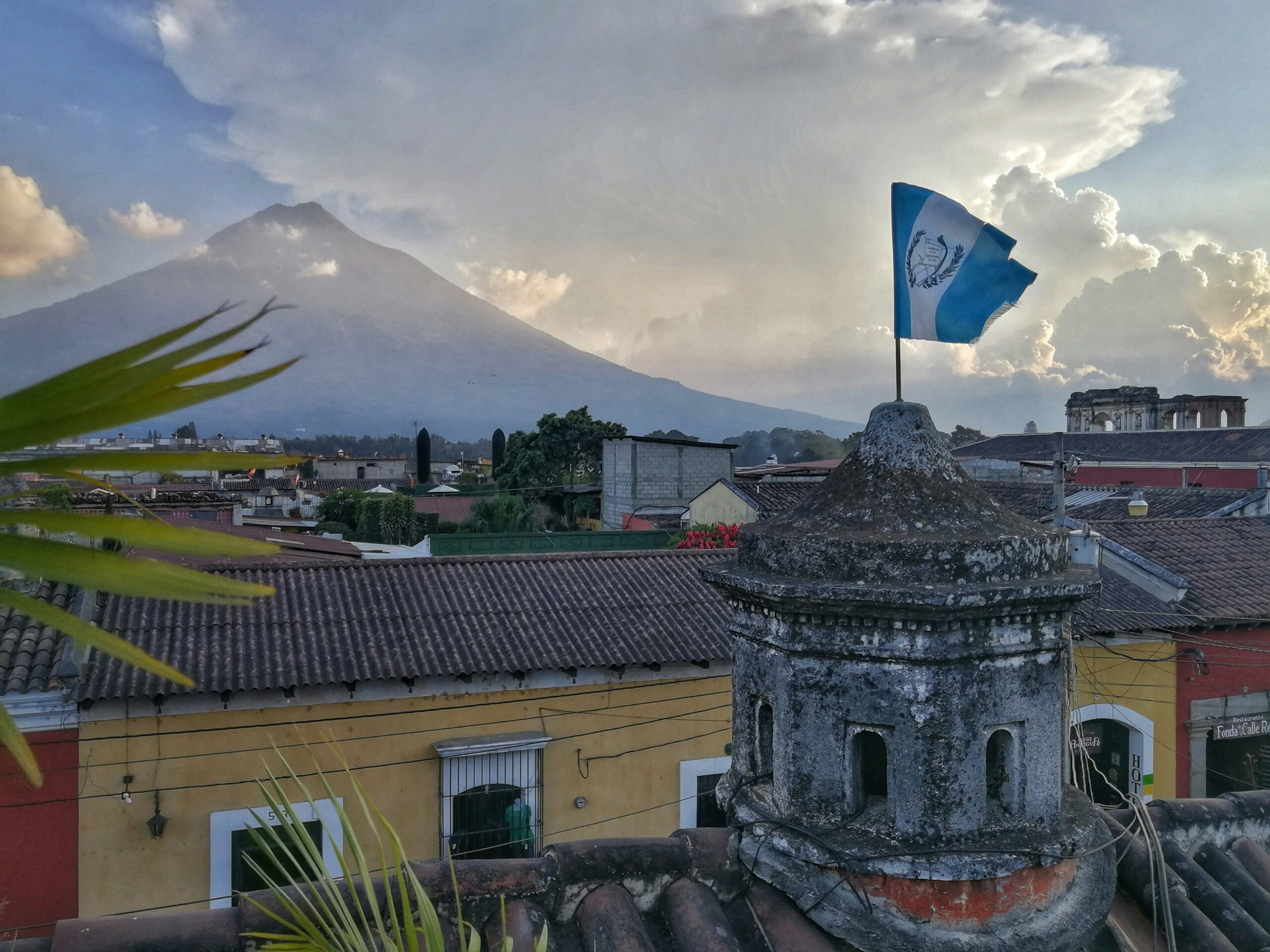 Conozca nuestros proyectos